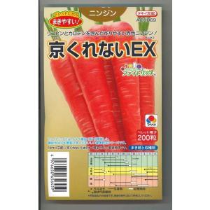人参 冬ちあき ペレット種子L 1万粒 タキイ種苗（株） : グリーン