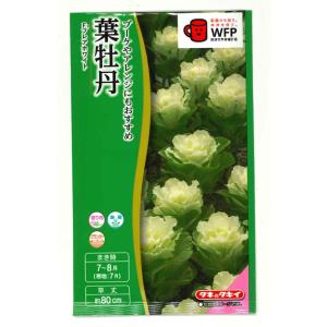 タキイ 葉牡丹 種 花 ガーデニング の商品一覧 通販 Yahoo ショッピング