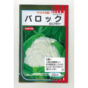 カリフラワー バロック 20ml （株）サカタのタネ