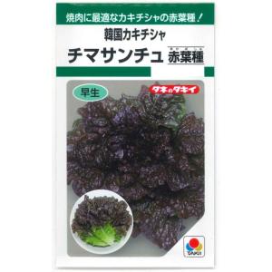 レタス リーフレタス サマールージュ ペレット種子5000粒 タキイ種苗