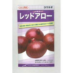 たまねぎ レッドアロー 20ml カネコ種苗(株)の商品画像
