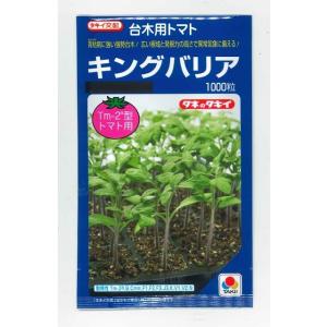台木(トマト用) キングバリア 1000粒 タキ...の商品画像