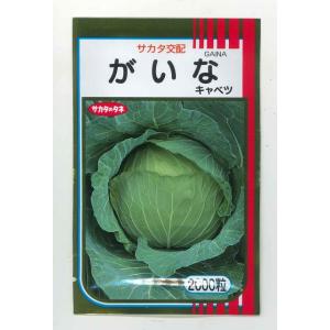 キャベツ  　がいな　2000粒 （株）サカタのタネ