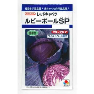 たね 大和農園 キャベツ きゃべつ 紫丸 20ml : 種苗・園芸ショップ 種