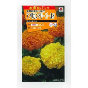 花の種　お徳用パック！　アフリカンマリーゴールド　高性大輪混合　タキイ種苗（株）(NL500)