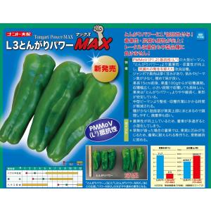 ピーマン L3とんがりパワーMAX 500粒 ...の詳細画像1