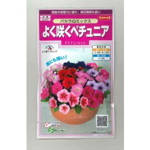 花の種 よく咲くペチュニア バカラIQミックス ...の商品画像