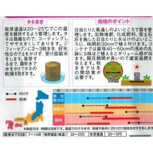 花の種 よく咲くペチュニア バカラIQミックス...の詳細画像1