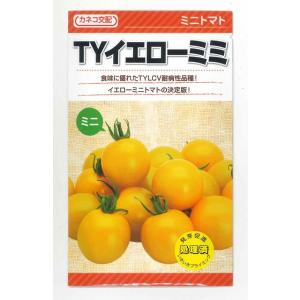 トマト　ミニトマト　TYイエローミミ　100粒　カネコ交配