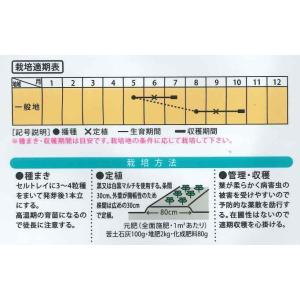 白菜 ミニはくさい まるごとサラダ 1ml (...の詳細画像1