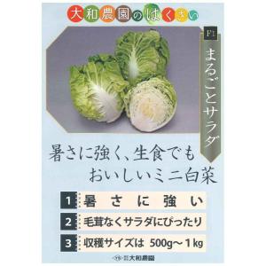 白菜 ミニはくさい まるごとサラダ 1ml (...の詳細画像2