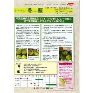キャベツ 冬藍 ペレット種子 300粒 (株)...の詳細画像1