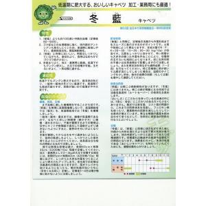 キャベツ 冬藍 ペレット種子 300粒 (株)...の詳細画像2