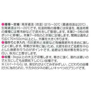 キャベツ 冬藍 ペレット種子 300粒 (株)...の詳細画像3