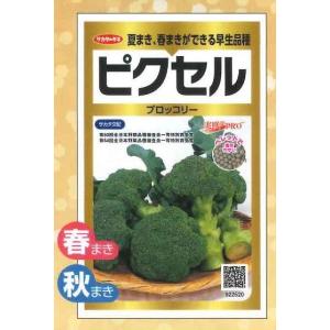 サカタのタネ（サカタノタネ） ブロッコリー おはよう 2000粒 （株