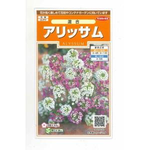 花の種　アリッサム 混合　約334粒（株）サカタのタネ　　実咲200｜green-loft