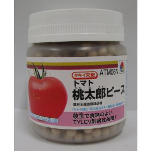 根深ネギ 種 『冬月の雫』 トキタ種苗/コート5000粒 : 種兵ネット