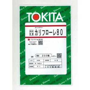 イタリア野菜 カリフローレ80 200粒 トキタ種苗（株）