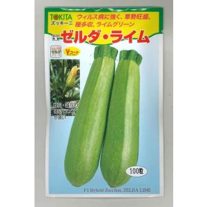 ズッキーニ オーラムEX 100粒 一代交配ズッキーニ種子 【南瓜の種