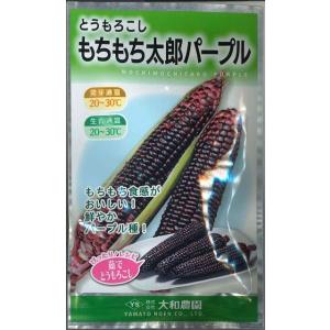 とうもろこし ミルキーシュガー 85(2000粒) トキタ種苗 : グリーン