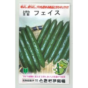 きゅうり フェイス 350粒 （株）ときわ研究場