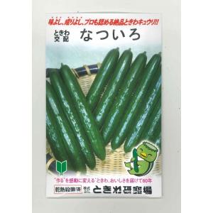 送料無料！　きゅうり　 なついろ　350粒　（株）ときわ研究場