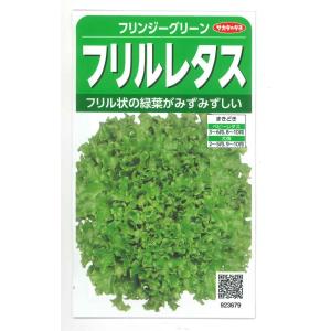 SK9-099 ブロッコリー種子 2000粒 【野菜種子】【サカタのタネ