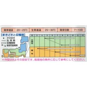 エンサイ 1dl(約1945粒) タキイ種苗(株)の詳細画像1