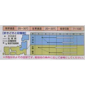 つるむらさき 1dl(約1625粒) タキイ種...の詳細画像1