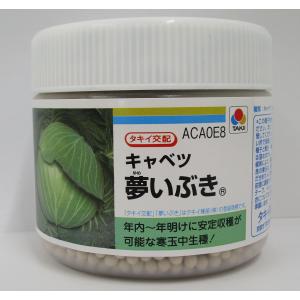 ねぎ 名月一文字 ペレット種子 2L 5000粒 タキイ種苗（株） : グリーン