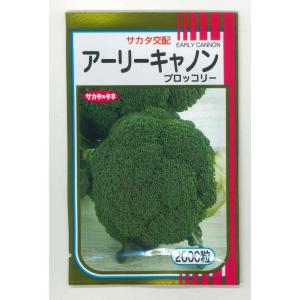 SK9-099 ブロッコリー種子 2000粒 【野菜種子】【サカタのタネ