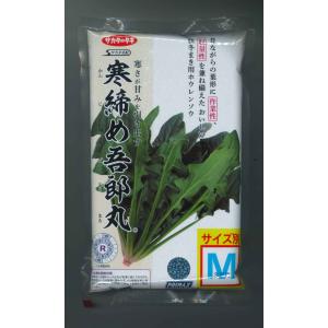 サカタのタネ 小松菜 はまつづき 2dl （株）サカタのタネ