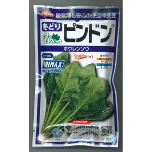ほうれんそう ピンドン 100ml (約4000...の商品画像
