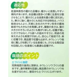 ほうれんそう ピンドン 100ml (約400...の詳細画像1