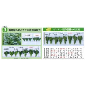 ほうれんそう ピンドン 100ml (約400...の詳細画像4