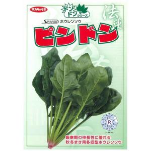 ほうれんそう ピンドン 100ml (約400...の詳細画像5