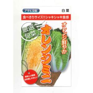 白菜 オレンジミニ 小袋 （株）アサヒ農園