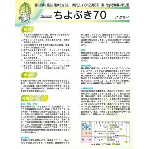 白菜 ちよぶき70 20ml (株)サカタのタネの詳細画像2