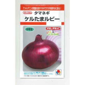 たまねぎ ケルたまルビー 1.8ml タキイ種苗 (株) RF