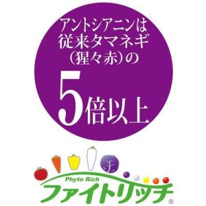 たまねぎ ケルたまルビー 1.8ml タキイ種...の詳細画像1