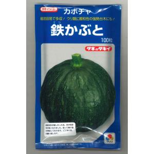 雪印種苗 カボチャ かぼちゃ 南瓜 栗てまり 100粒 : 種苗・園芸