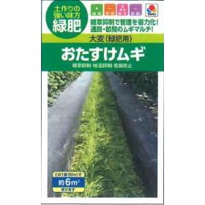 SK9-099 ブロッコリー種子 ペレット5000粒 【野菜種子】【サカタのタネ