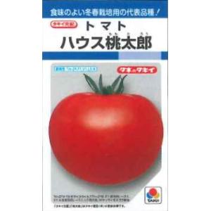 大玉トマト ホーム桃太郎EX 1000粒 タキイ種苗（株） : グリーン