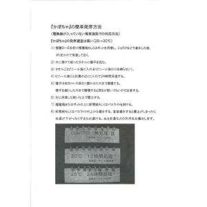 かぼちゃ ロロン 8粒 タキイ種苗 (株)RFの詳細画像1