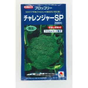 サカタのタネ（サカタノタネ） ブロッコリー アーリーキャノン 2000粒