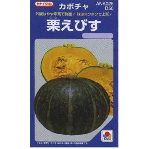 かぼちゃ 栗えびす 100粒 タキイ種苗（株）