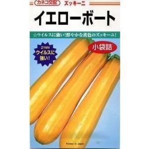 ズッキーニ イエローボート 100粒 カネコ種苗（株）