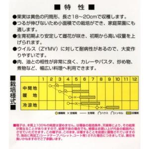 ズッキーニ イエローボート 100粒 カネコ種...の詳細画像1