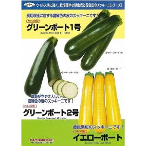 ズッキーニ イエローボート 100粒 カネコ種...の詳細画像2