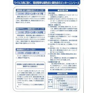 ズッキーニ イエローボート 100粒 カネコ種...の詳細画像3